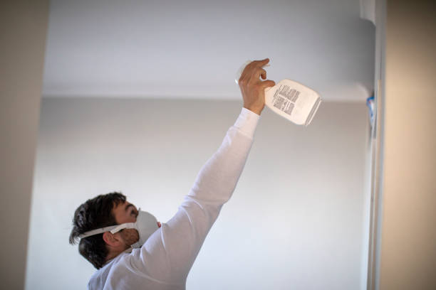Best Certified Mold Removal  in Front Royal, VA
