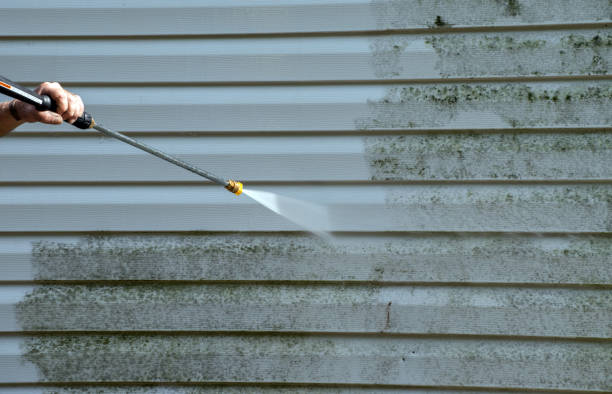 Best Toxic Mold Removal  in Front Royal, VA