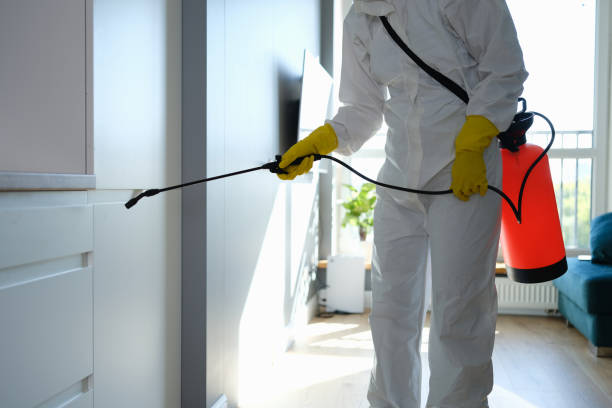 Front Royal, VA Mold Removal Company