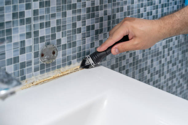 Best Mold Cleaning Services  in Front Royal, VA