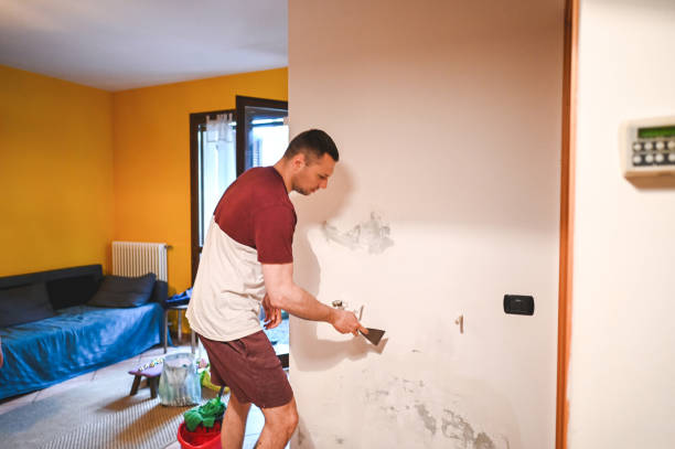 Best Fast Mold Removal  in Front Royal, VA
